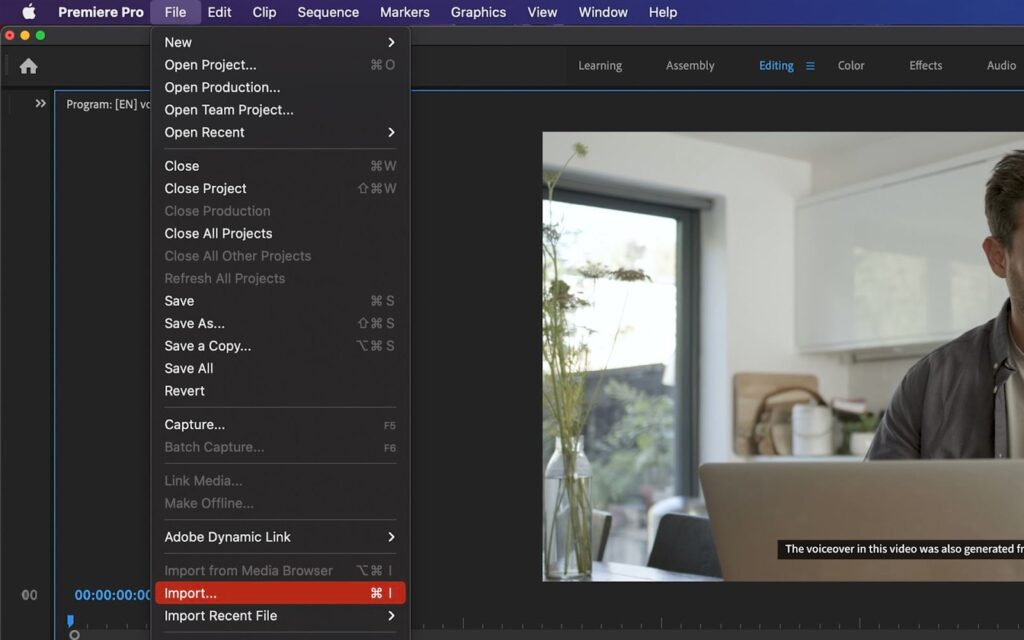 screenshot of premiere pro's file option for importing audio clips