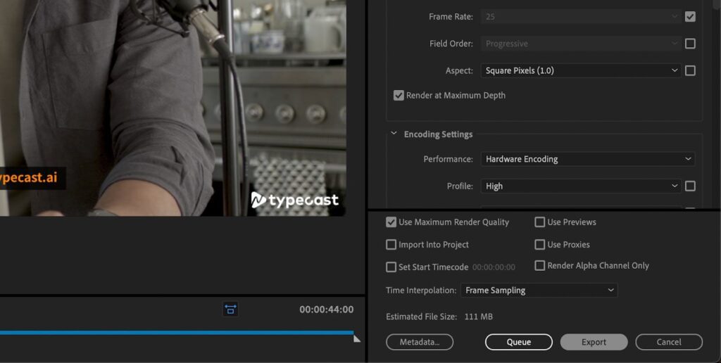 screenshot of premiere pro's export window buttons