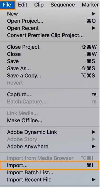 adobe premier file import UI