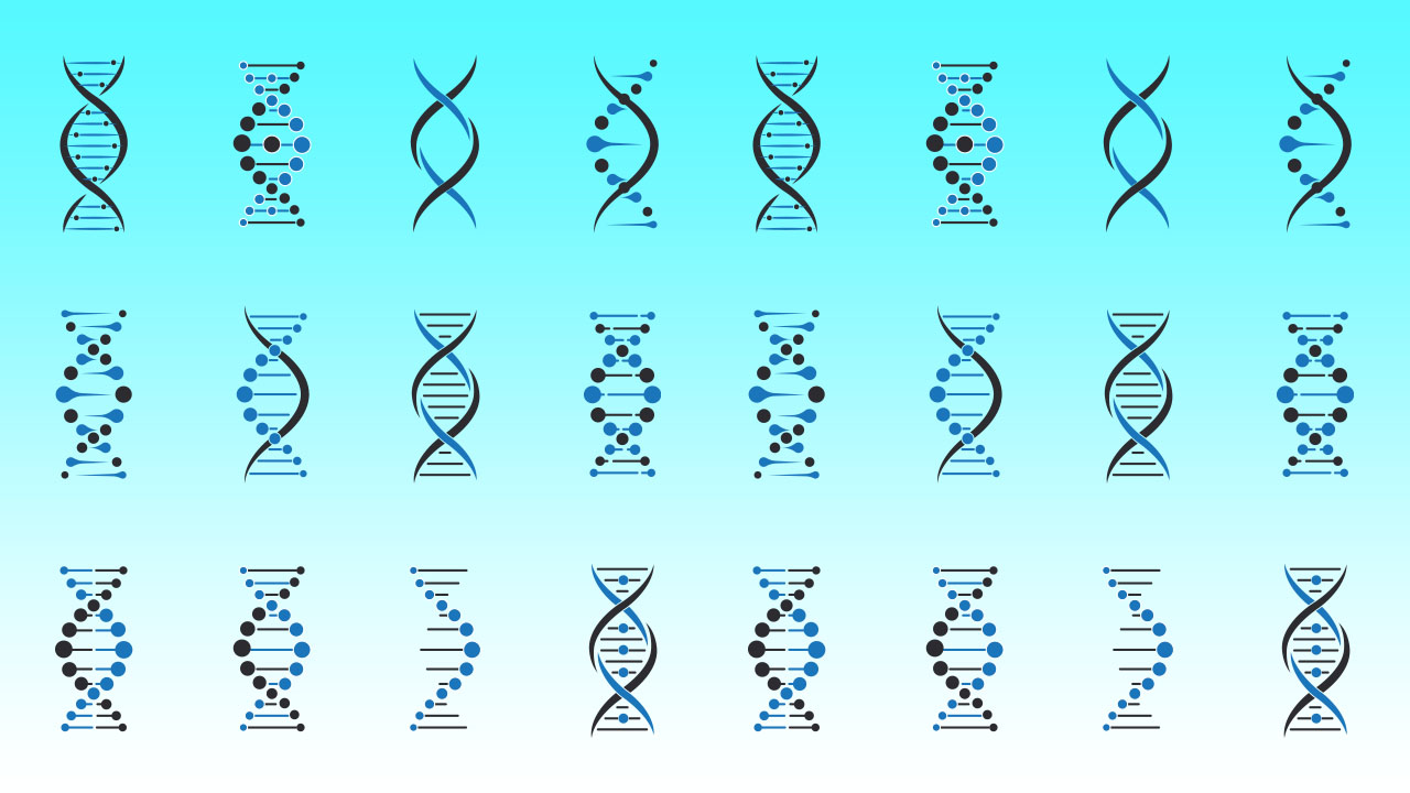 multiple DNA molecule clones