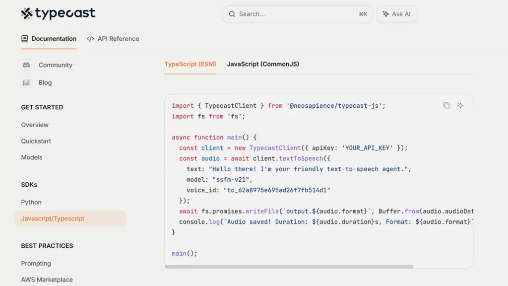 Typecast's API documents page that introduces their Javascript/Typescript solution.