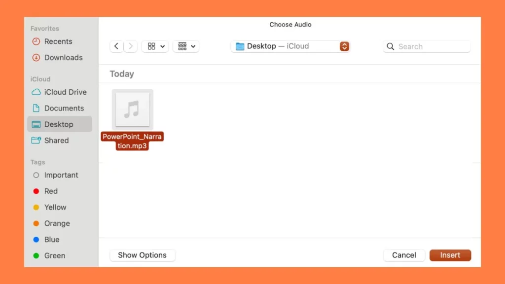 File selection window showing an MP3 audio file highlighted on the desktop, with Insert and Cancel buttons at the bottom